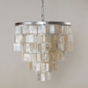 Farmhouse 3-Light Chandelier with Shell Pieces