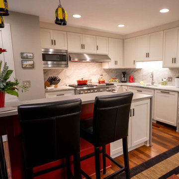 Eden Prairie Main Level Remodel