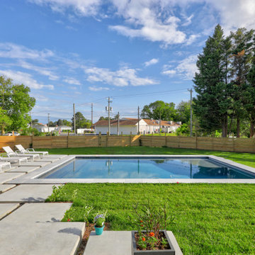 Modern Oasis