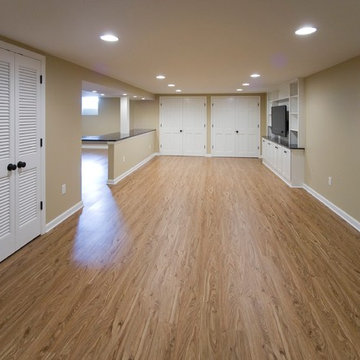 Berwyn New Basement for Young Family