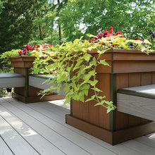 Back Deck