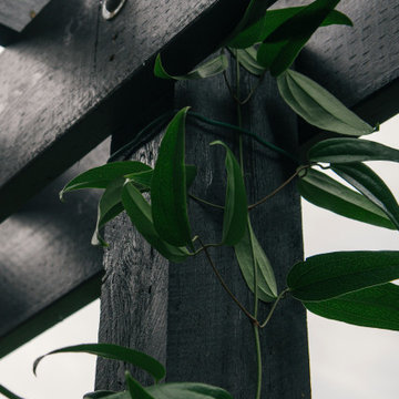 Pergola Detail