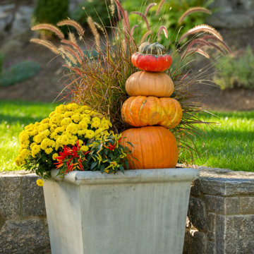 Fall