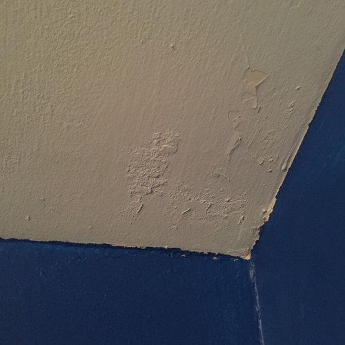 Flaky Ceiling Paint
