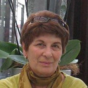 Foto de Olga Klimenko
