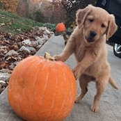 Ashley Linville's photo