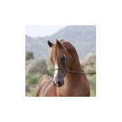 Vicki Bacon's photo