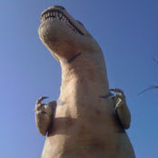 arman Sham's photo