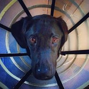 Matt Pennington's photo