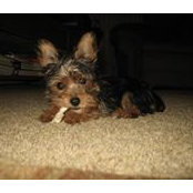 Jan Beebe's photo