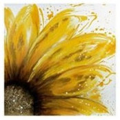 Aileen Van Pelt's photo