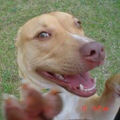 Barbara Tate's photo