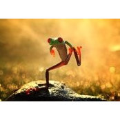 Tarini Mohapatra's photo