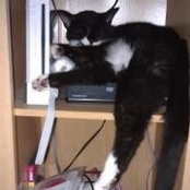 Sharon Vallery's photo