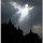 cyndi_albrecht