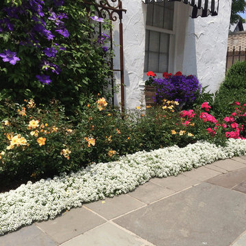 Annual flower arrangements