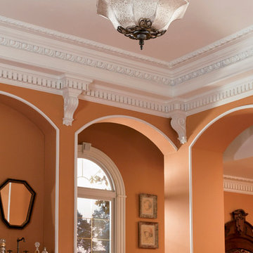 Fanimation Ceiling Fans