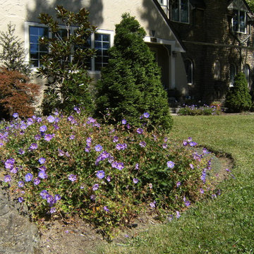 North Avondale Residence