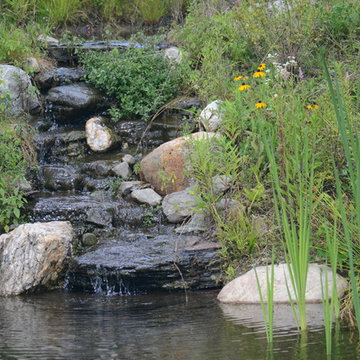 Millerton Retreat: Pond