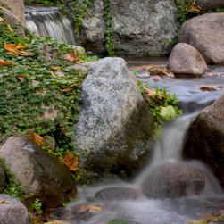 Pond Debris - Products