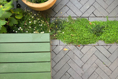 Inspiration for a midcentury garden in London.
