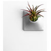 Modern Wall Planter, 3" Node, X Small, Ceramic, Light Gray