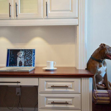 Home Office w/ Pet Space