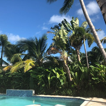 Miami Beach Residence
