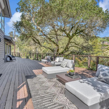 Homestead Valley Modern