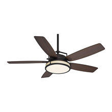 Ceiling Fans