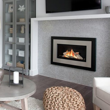 Contemporary Fireplace Inserts
