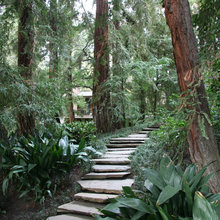 Trail