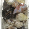 Seashells in Jumbo Mason Jar