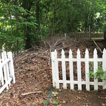 Yard Clean Up Mag
