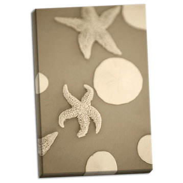 Fine Art Photograph, Starfish & Sand Dollars I, Hand-Stretched Canvas