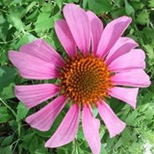 Sherry Nacci's photo