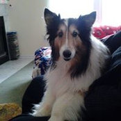 Sharon O'Rourke's photo