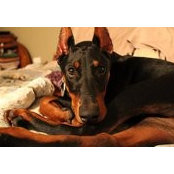 Glenda Eden's photo