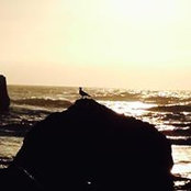 Danna Humphreys's photo