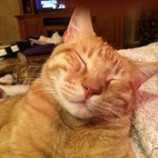 Cheryl Sorensen's photo