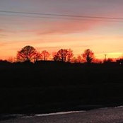 Kathryn Dawson's photo