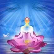 Kheteshwar Borawat's photo