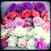 Anne Canioni's photo