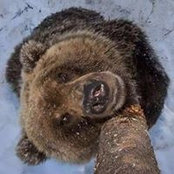 Андрей Андреев's photo