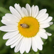 Martha Nelson's photo