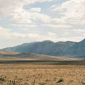 Stephen Brockwell's photo