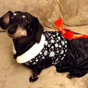 Deborah Cassagne's photo