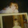 Kim Pease