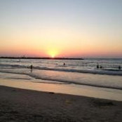 Nihaya Harhash's photo