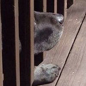 Laurie Meyer's photo